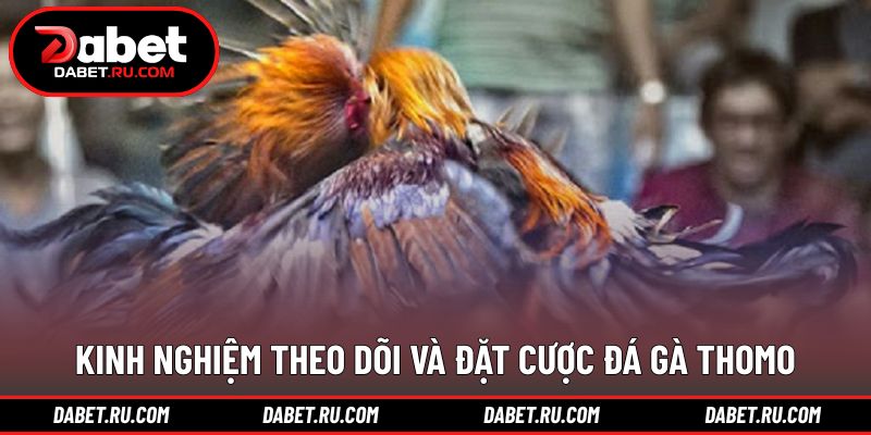 Chia sẻ kinh nghiệm theo dõi và lựa chọn hợp lý Chia sẻ kinh nghiệm theo dõi và lựa chọn hợp lý