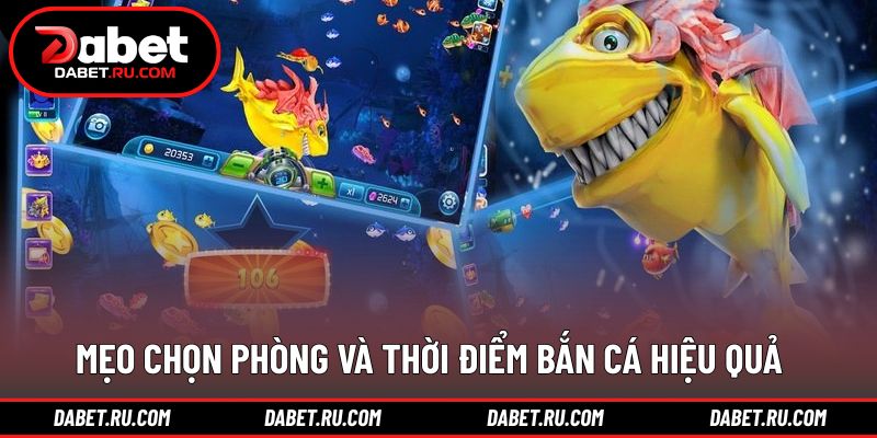 Chiến lược chọn phòng phù hợp theo kinh nghiệm cao thủ