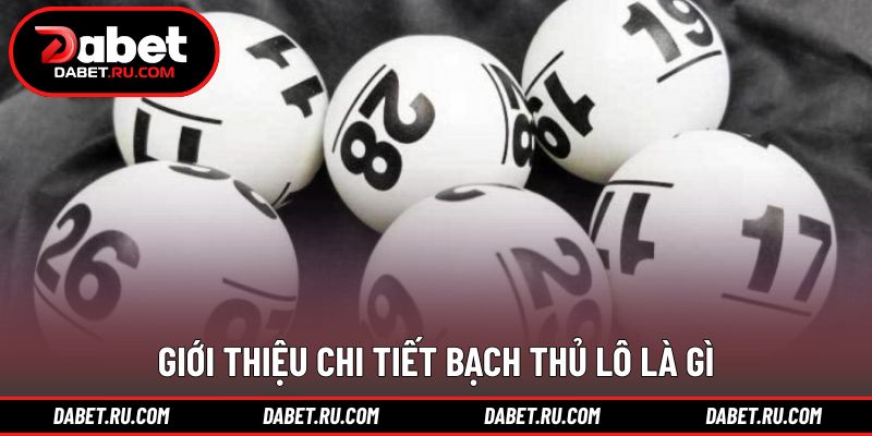 Giải thích khái niệm bạch thủ lô là gì cơ bản Giải thích khái niệm bạch thủ lô là gì cơ bản
