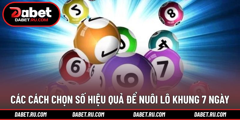 Gợi ý cách chọn số theo dữ liệu thực tế Gợi ý cách chọn số theo dữ liệu thực tế