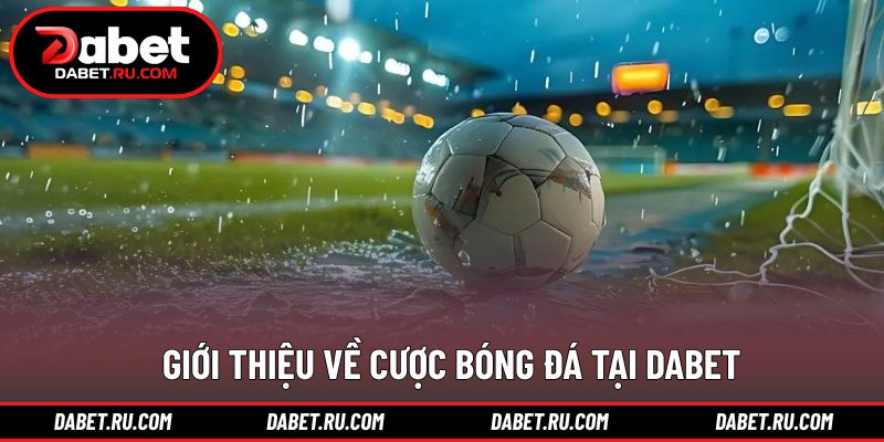 Khái quát hình thức tham gia dành cho người mới