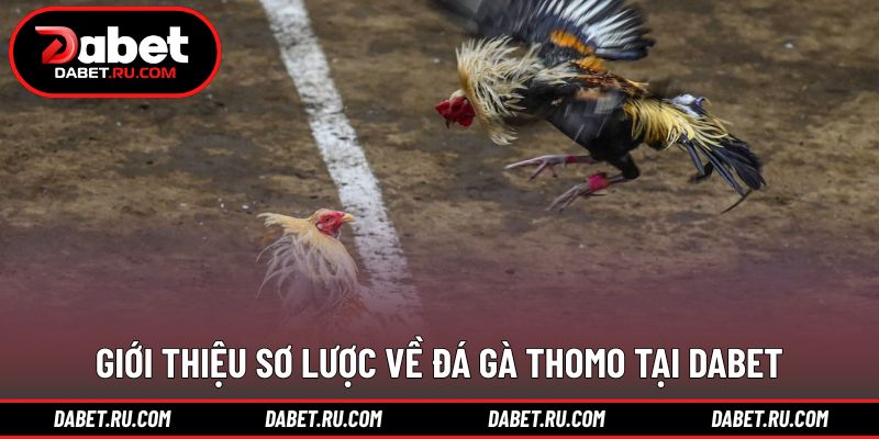 Khái quát nguồn gốc và hình thức tổ chức hợp pháp Khái quát nguồn gốc và hình thức tổ chức hợp pháp