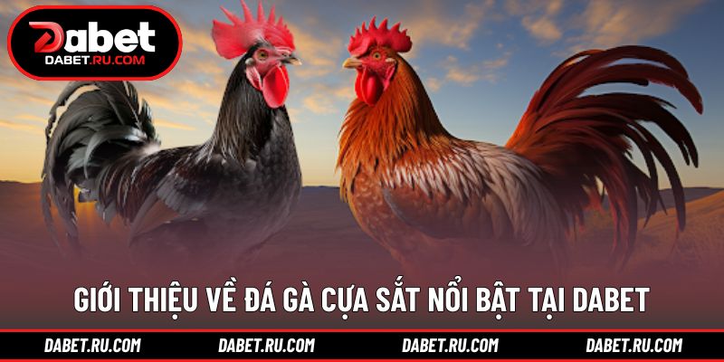 Khái quát tổng quan về hình thức thi đấu đặc trưng