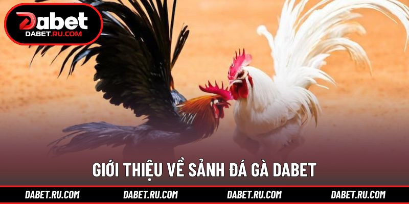 Không gian thi đấu trực tuyến được tổ chức khoa học dễ tiếp cận