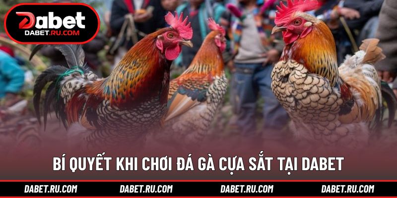 Kinh nghiệm cần nắm khi theo dõi các trận đấu