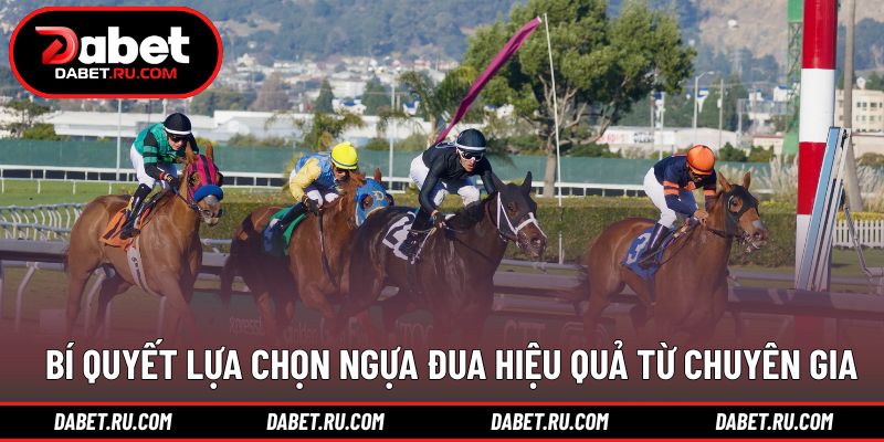 Kinh nghiệm chọn ngựa giúp tăng hiệu quả theo dõi Kinh nghiệm chọn ngựa giúp tăng hiệu quả theo dõi