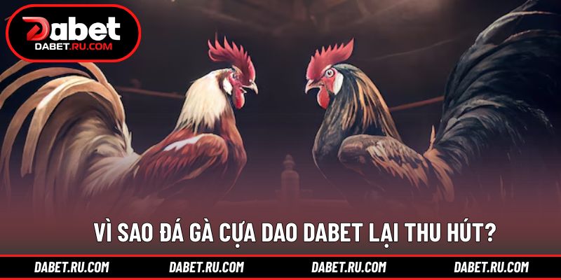 Lý do khiến đá gà cựa dao DABET được quan tâm