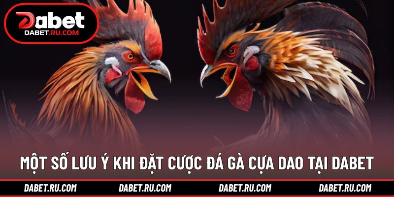 Những điểm cần lưu ý khi theo dõi và đặt cược