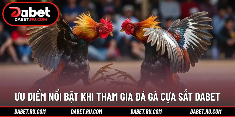 Những lợi thế nổi bật khi theo dõi đá gà cựa sắt DABET