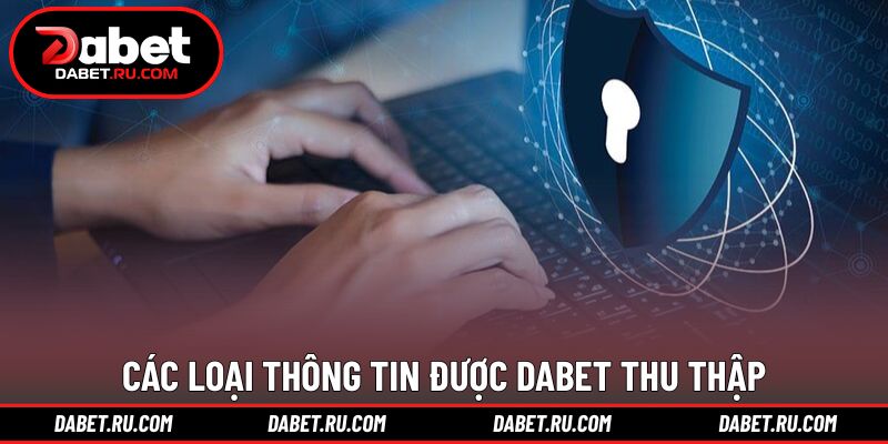 Những nhóm dữ liệu được ghi nhận trong hệ thống